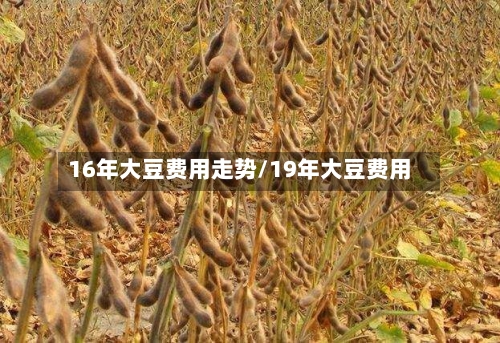 16年大豆费用走势/19年大豆费用