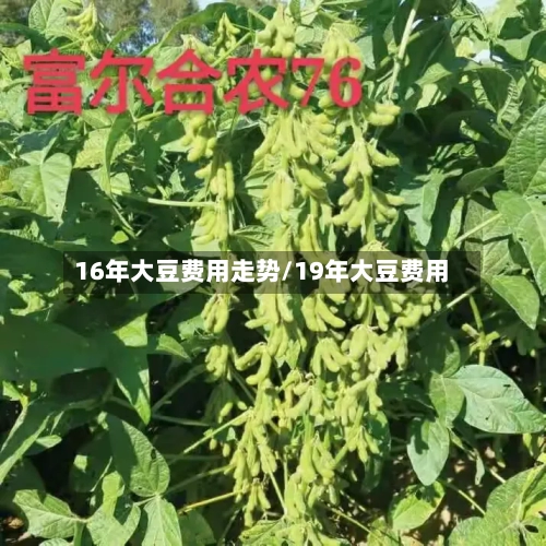 16年大豆费用走势/19年大豆费用-第3张图片
