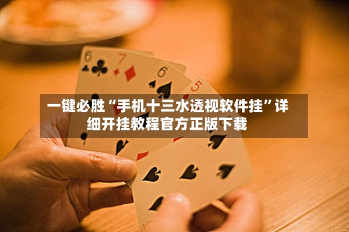 一键必胜“手机十三水透视软件挂	”详细开挂教程官方正版下载-第2张图片