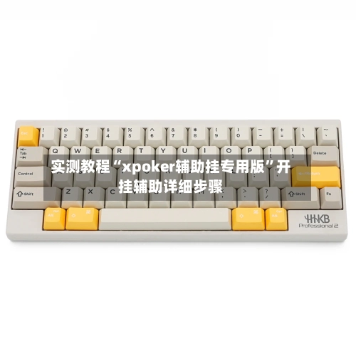 实测教程“xpoker辅助挂专用版”开挂辅助详细步骤