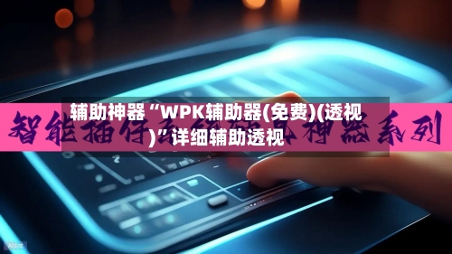 辅助神器“WPK辅助器(免费)(透视)”详细辅助透视-第3张图片