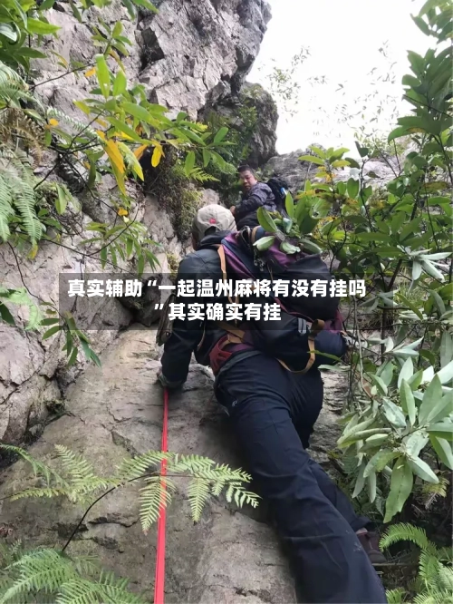 真实辅助“一起温州麻将有没有挂吗”其实确实有挂-第3张图片