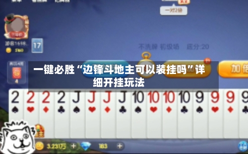 一键必胜“边锋斗地主可以装挂吗”详细开挂玩法-第2张图片