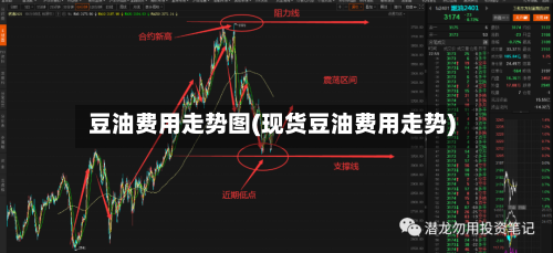 豆油费用走势图(现货豆油费用走势)-第3张图片