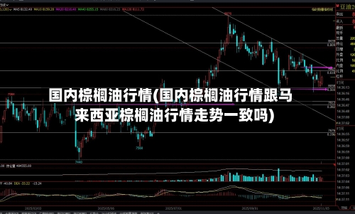 国内棕榈油行情(国内棕榈油行情跟马来西亚棕榈油行情走势一致吗)-第2张图片