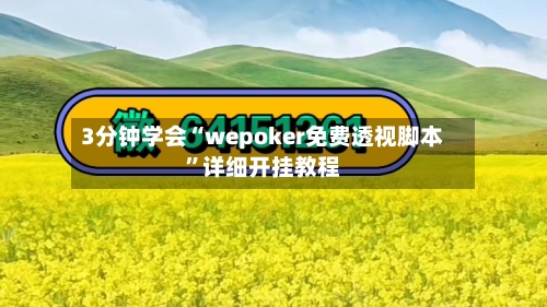 3分钟学会“wepoker免费透视脚本	”详细开挂教程-第2张图片