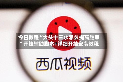 今日教程“大头十三水怎么提高胜率	”开挂辅助脚本+详细开挂安装教程-第2张图片