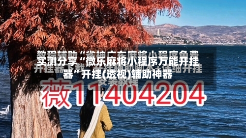 实测分享“微乐麻将小程序万能开挂器”开挂(透视)辅助神器-第3张图片