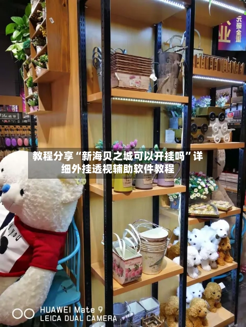 教程分享“新海贝之城可以开挂吗	”详细外挂透视辅助软件教程-第2张图片