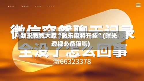 我来教教大家“微乐麻将开挂	”(曝光透视必备猫腻)-第2张图片