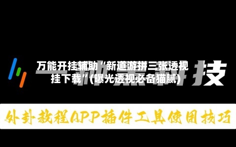 万能开挂辅助“新道游拼三张透视挂下载”(曝光透视必备猫腻)-第3张图片