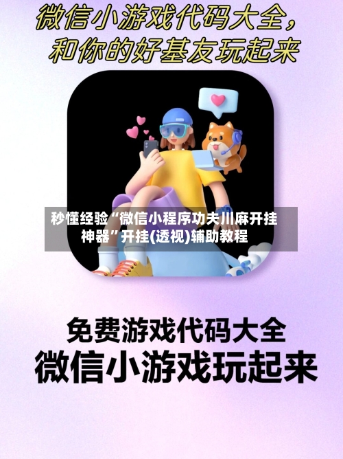 秒懂经验“微信小程序功夫川麻开挂神器”开挂(透视)辅助教程-第3张图片