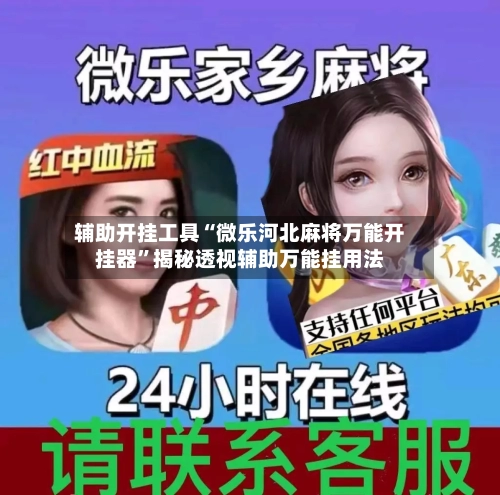 辅助开挂工具“微乐河北麻将万能开挂器”揭秘透视辅助万能挂用法-第2张图片