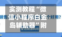 实测教程“微信小程序白金岛辅助器”附开挂脚本详细步骤-第2张图片