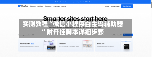 实测教程“微信小程序白金岛辅助器	”附开挂脚本详细步骤-第3张图片