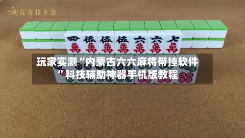 玩家实测“内蒙古六六麻将带挂软件”科技辅助神器手机版教程
