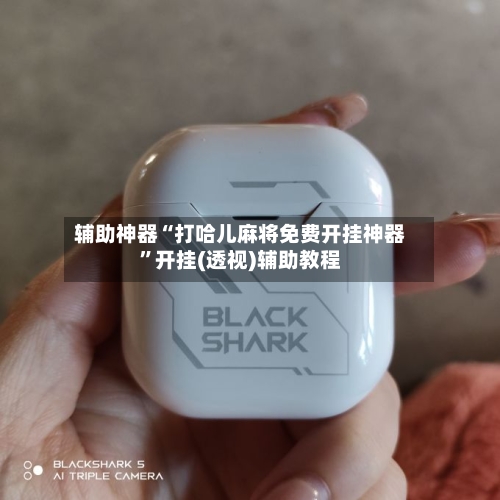 辅助神器“打哈儿麻将免费开挂神器	”开挂(透视)辅助教程-第2张图片