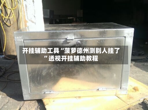 开挂辅助工具“菠萝德州测别人挂了”透视开挂辅助教程-第2张图片