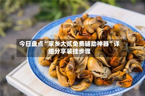 今日盘点“家乡大贰免费辅助神器”详细分享装挂步骤-第3张图片