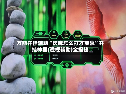 万能开挂辅助“长麻怎么打才能赢”开挂神器{透视辅助}全揭秘-第3张图片