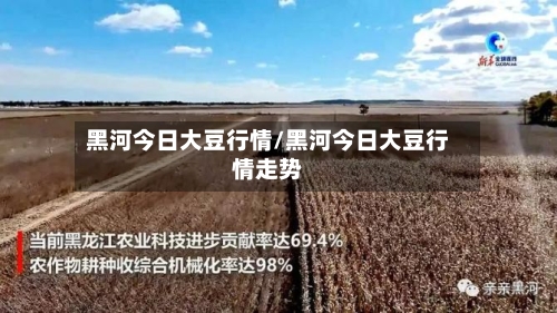 黑河今日大豆行情/黑河今日大豆行情走势-第3张图片