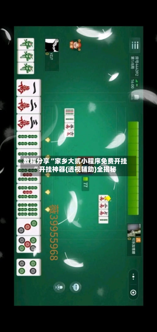 教程分享“家乡大贰小程序免费开挂”开挂神器{透视辅助}全揭秘-第2张图片