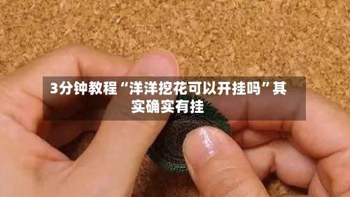 3分钟教程“洋洋挖花可以开挂吗	”其实确实有挂-第2张图片