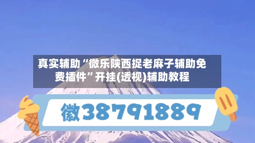 真实辅助“微乐陕西捉老麻子辅助免费插件”开挂(透视)辅助教程-第2张图片