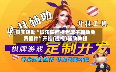 真实辅助“微乐陕西捉老麻子辅助免费插件	”开挂(透视)辅助教程-第3张图片