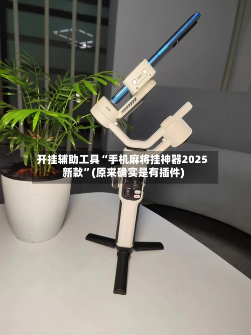开挂辅助工具“手机麻将挂神器2025新款”(原来确实是有插件)-第2张图片