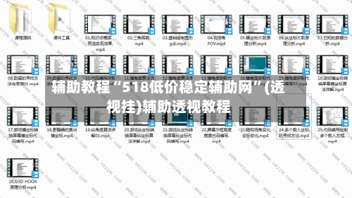 辅助教程“518低价稳定辅助网	”(透视挂)辅助透视教程-第2张图片