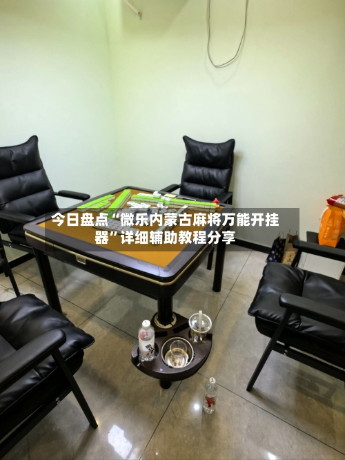 今日盘点“微乐内蒙古麻将万能开挂器	”详细辅助教程分享-第2张图片