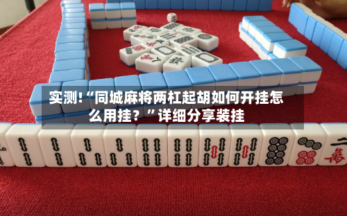 实测!“同城麻将两杠起胡如何开挂怎么用挂？”详细分享装挂-第2张图片