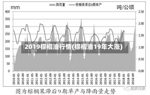 2019棕榈油行情(棕榈油19年大涨)-第3张图片