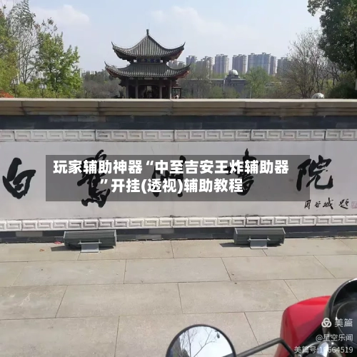 玩家辅助神器“中至吉安王炸辅助器”开挂(透视)辅助教程-第2张图片