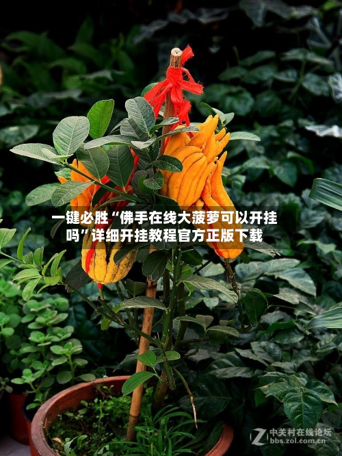 一键必胜“佛手在线大菠萝可以开挂吗	”详细开挂教程官方正版下载-第2张图片