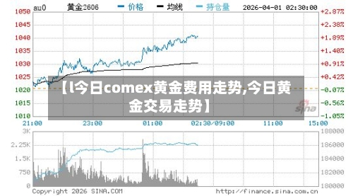【l今日comex黄金费用走势,今日黄金交易走势】-第3张图片