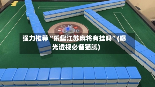 强力推荐“乐趣江苏麻将有挂吗”(曝光透视必备猫腻)-第2张图片