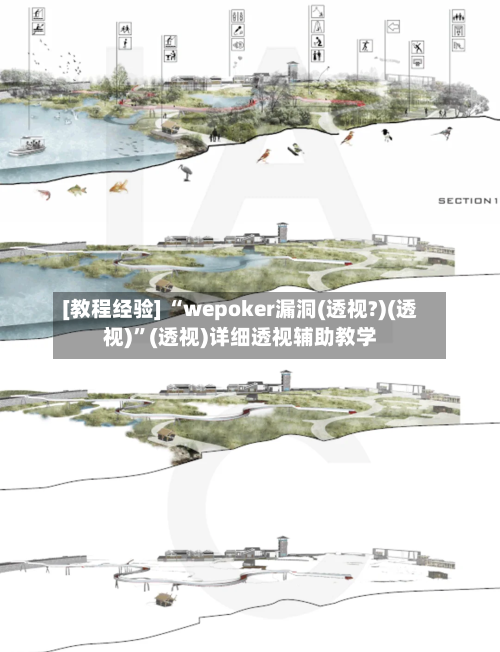 [教程经验] “wepoker漏洞(透视?)(透视)”(透视)详细透视辅助教学-第2张图片