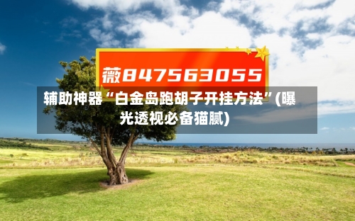 辅助神器“白金岛跑胡子开挂方法”(曝光透视必备猫腻)-第2张图片