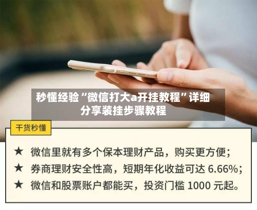 秒懂经验“微信打大a开挂教程”详细分享装挂步骤教程-第2张图片