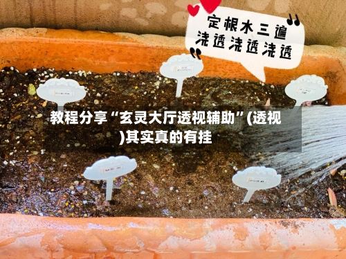 教程分享“玄灵大厅透视辅助”(透视)其实真的有挂-第2张图片