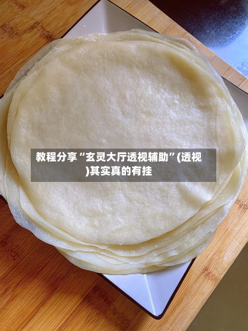 教程分享“玄灵大厅透视辅助”(透视)其实真的有挂-第3张图片