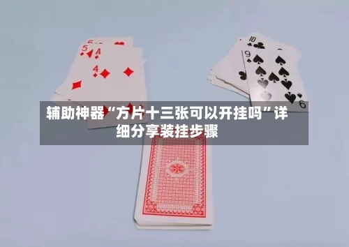 辅助神器“方片十三张可以开挂吗”详细分享装挂步骤-第3张图片