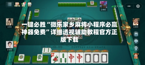 一键必胜“微乐家乡麻将小程序必赢神器免费”详细透视辅助教程官方正版下载-第3张图片
