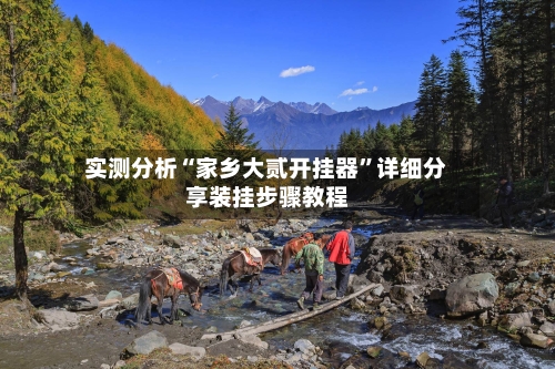 实测分析“家乡大贰开挂器	”详细分享装挂步骤教程-第2张图片