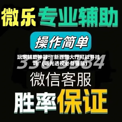 玩家辅助神器:“新西部大厅可以开挂吗”(曝光透视必备猫腻)