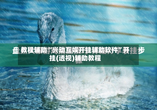 教程辅助“兴动互娱开挂辅助软件”开挂(透视)辅助教程