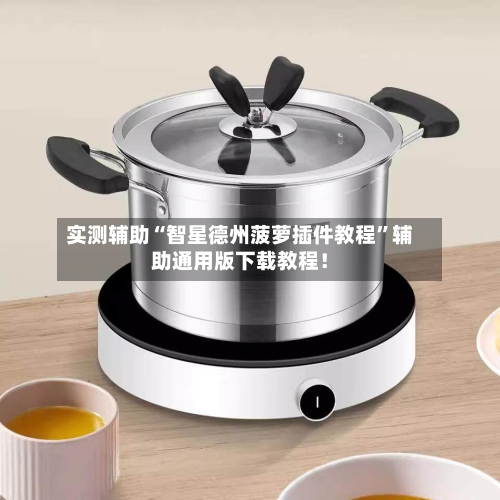 实测辅助“智星德州菠萝插件教程”辅助通用版下载教程！-第2张图片