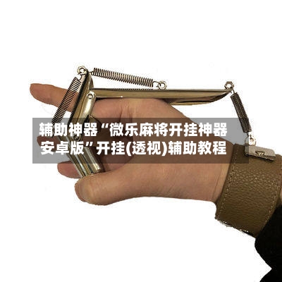 辅助神器“微乐麻将开挂神器安卓版”开挂(透视)辅助教程-第2张图片